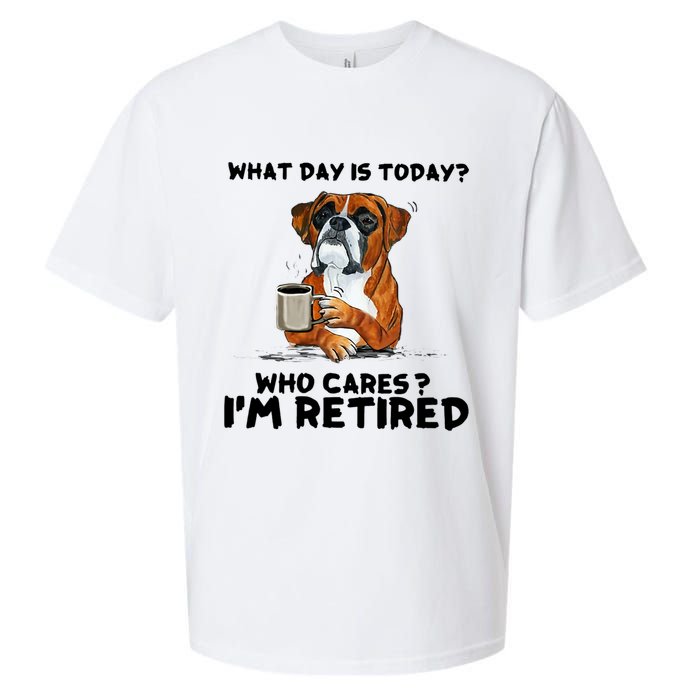Funny Boxer Dog What Day Is Today Who Care I'm Retired Sueded Cloud Jersey T-Shirt