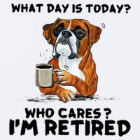 Funny Boxer Dog What Day Is Today Who Care I'm Retired Sueded Cloud Jersey T-Shirt