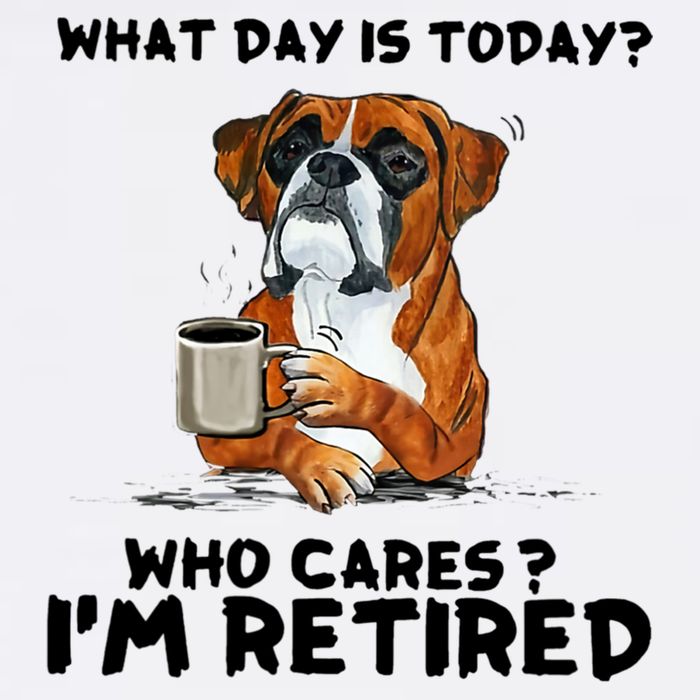 Funny Boxer Dog What Day Is Today Who Care I'm Retired Garment-Dyed Sweatshirt