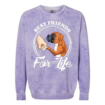 Funny Boxer Dog Boxer Dog Lover Colorblast Crewneck Sweatshirt