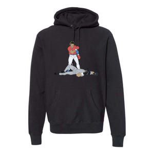 FUNNY BASEBALL DOWN GOES ANDERSON Premium Hoodie