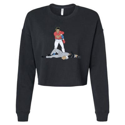 FUNNY BASEBALL DOWN GOES ANDERSON Cropped Pullover Crew