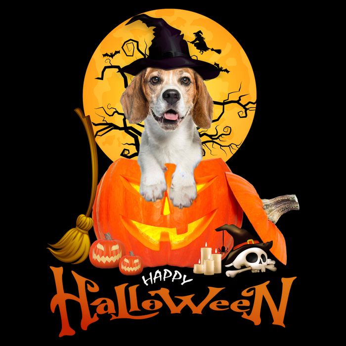 Funny Beagle Dog Spooky Halloween Flexfit Unipanel Trucker Cap
