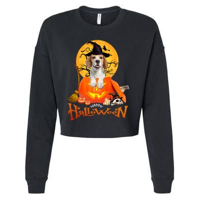 Funny Beagle Dog Spooky Halloween Cropped Pullover Crew