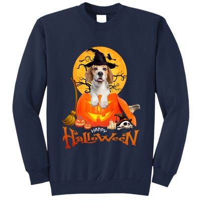 Funny Beagle Dog Spooky Halloween Tall Sweatshirt