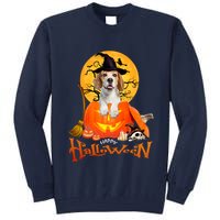 Funny Beagle Dog Spooky Halloween Tall Sweatshirt