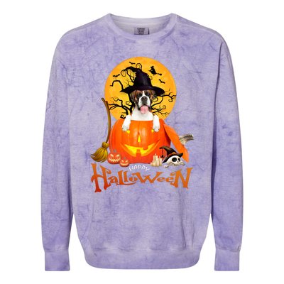 Funny Boxer Dog Spooky Halloween Colorblast Crewneck Sweatshirt