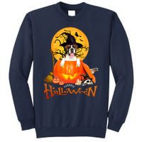 Funny Boxer Dog Spooky Halloween Sweatshirt