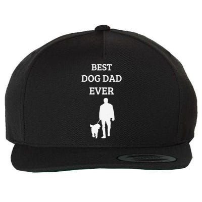 Funny Best Dog Dad Ever Fathers Day Gift For Dog Dads Wool Snapback Cap