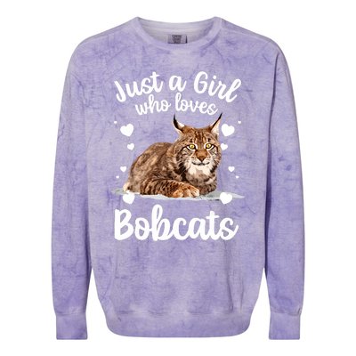 Funny Bobcat Design For Women Girls Pet Cat Bobcat Animal Colorblast Crewneck Sweatshirt