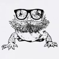 Funny Bearded Dragon Cute Reptile Lizard Nerdy Glass Animal Bucket Hat