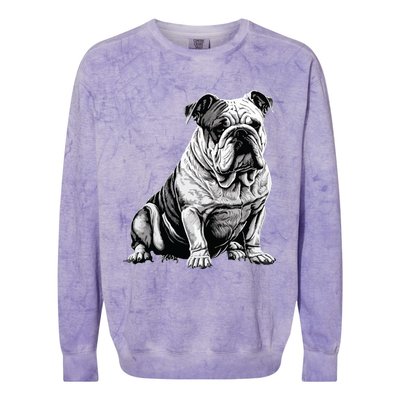 Funny Bulldog Dog Colorblast Crewneck Sweatshirt