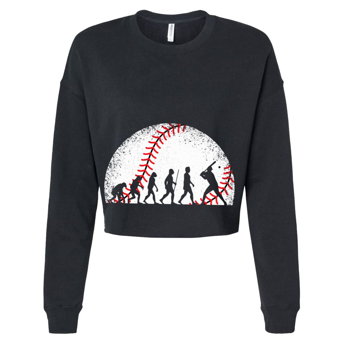 Funny Baseball Evolution Baseball Player Hoodie