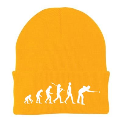 Funny Billiard Evolution Pool Billiard Gift Ideas Knit Cap Winter Beanie