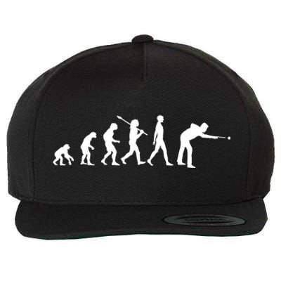 Funny Billiard Evolution Pool Billiard Gift Ideas Wool Snapback Cap