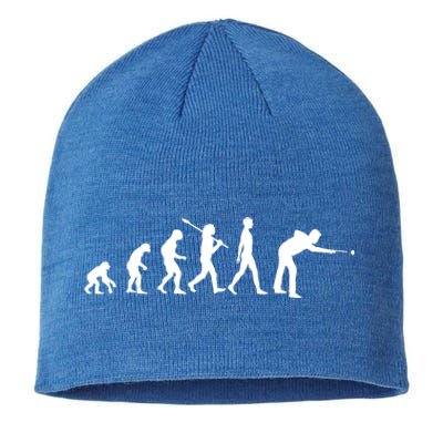 Funny Billiard Evolution Pool Billiard Gift Ideas Sustainable Beanie