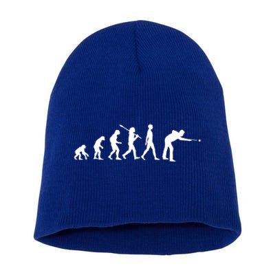 Funny Billiard Evolution Pool Billiard Gift Ideas Short Acrylic Beanie