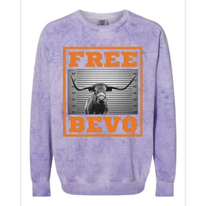 Free B.E.V.O Colorblast Crewneck Sweatshirt