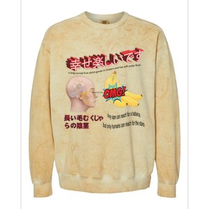 Funny Banana Colorblast Crewneck Sweatshirt