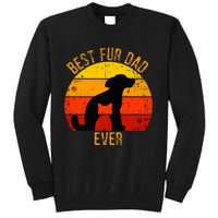 Funny Best Fur Dad Ever Vintage Retro Dog Cat Owner Tall Sweatshirt