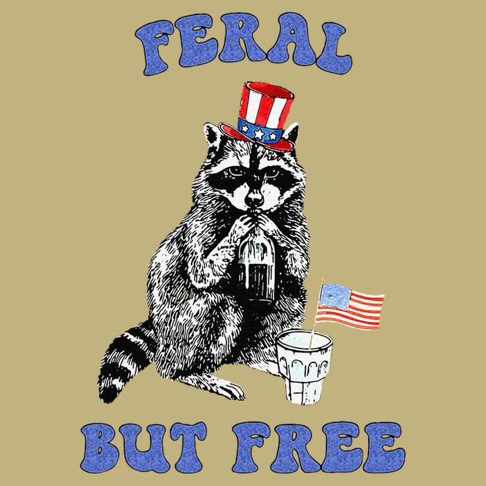 Feral But Free Funny 4th Of July Raccoon Independence Day Long Sleeve Shirt