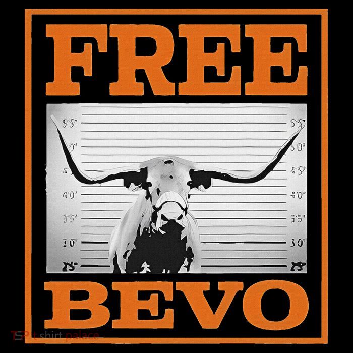 Free B.E.V.O Bag
