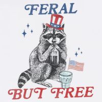 Feral But Free Funny Racoon 4th Of July Tumbler