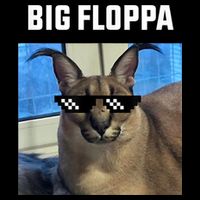 Funny Big Floppa Wearing Meme Sunglasses Wool Snapback Cap