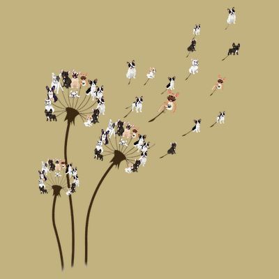French Bulldog Flower Fly Dandelion Funny Dog Lovers T-Shirt
