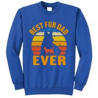 Funny Best Fur Dad Ever Vintage Dog Cat Owner Fathers Day Gift Tall Sweatshirt