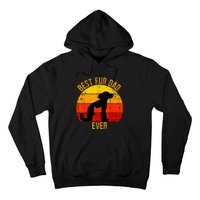 Funny Best Fur Dad Ever Vintage Retro Dog Cat Owner Hoodie