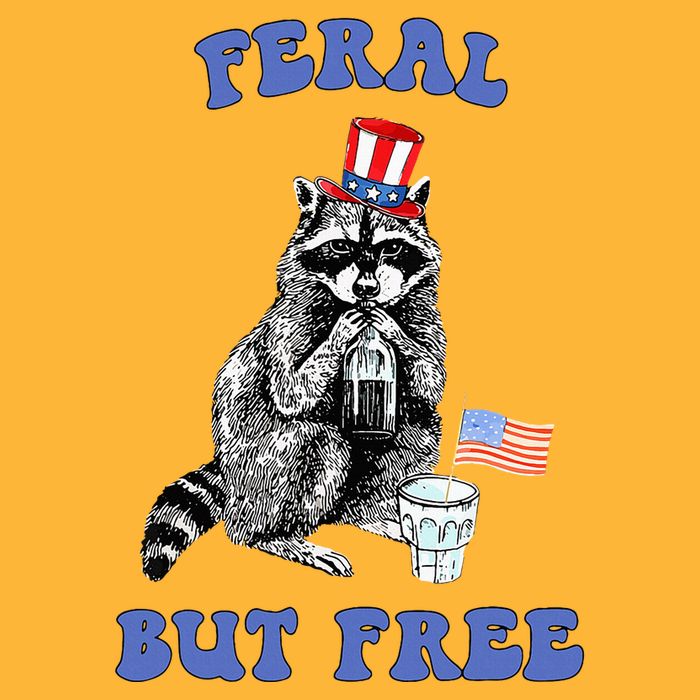Feral But Free 4th Of July Raccoon Independence Day Pom Pom 12in Knit Beanie