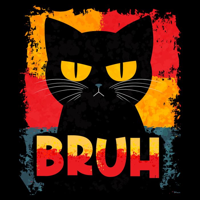 Funny Bruh Grumpy Black Cat Apron