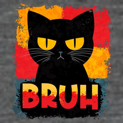 Funny Bruh Grumpy Black Cat T-Shirt