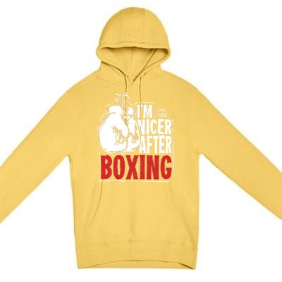 Funny Boxing Gift For A Boxer And Fighter Cool Gift Premium Pullover Hoodie