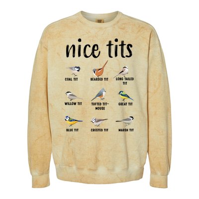 Funny Bird Gift Nice Tits Ornithology Colorblast Crewneck Sweatshirt