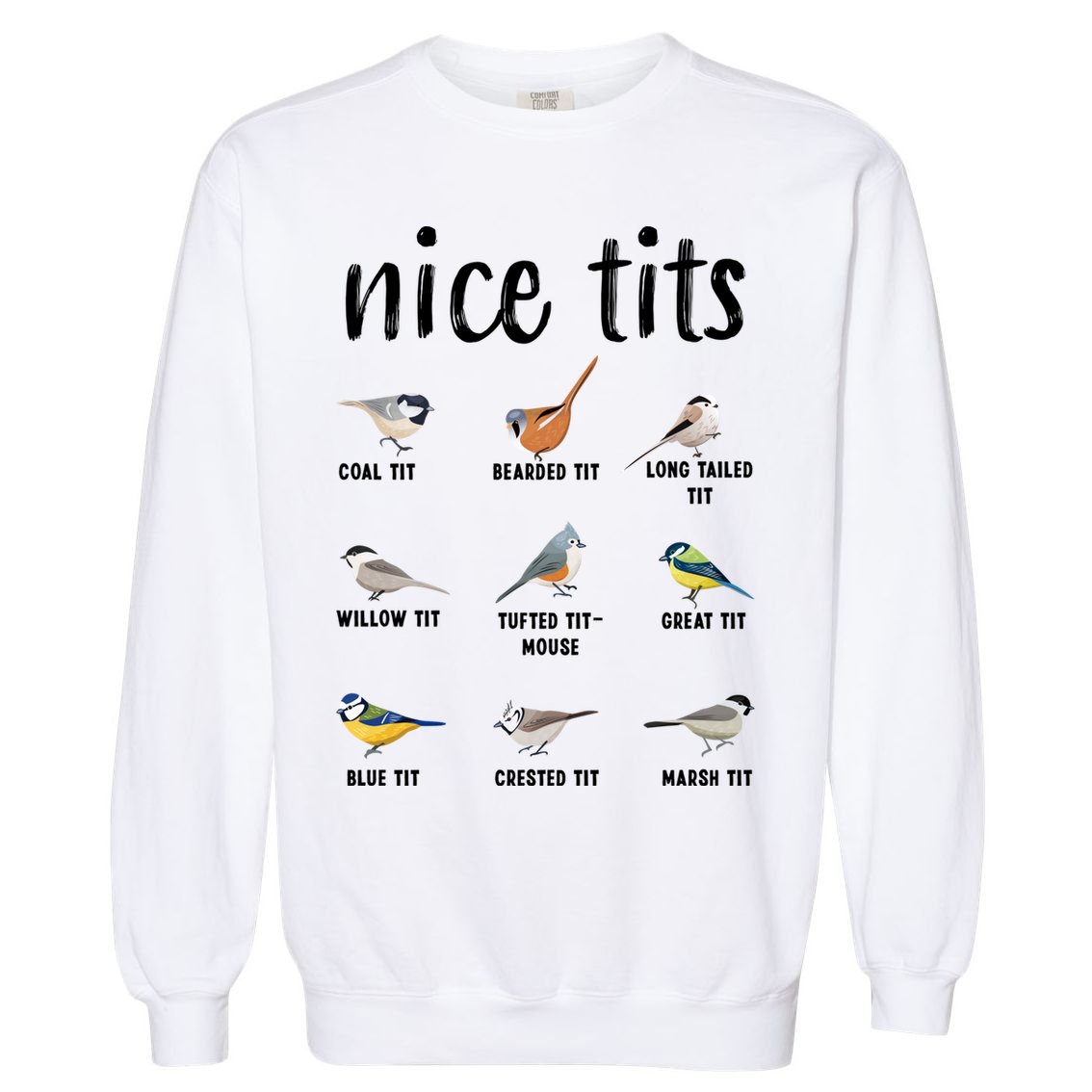 Funny Bird Gift Nice Tits Ornithology Garment-Dyed Sweatshirt
