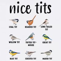 Funny Bird Gift Nice Tits Ornithology Bucket Hat