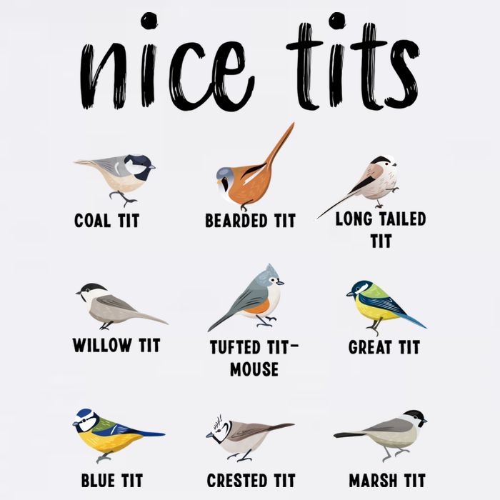 Funny Bird Gift Nice Tits Ornithology Bucket Hat
