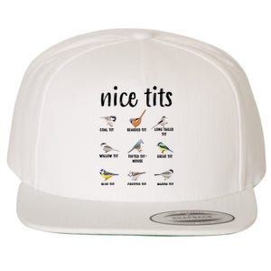 Funny Bird Gift Nice Tits Ornithology Wool Snapback Cap