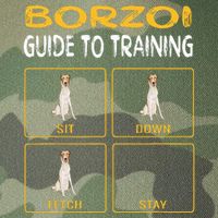 Funny Borzoi Guide To Training Dog Obedience Legacy Tie Dye Trucker Hat
