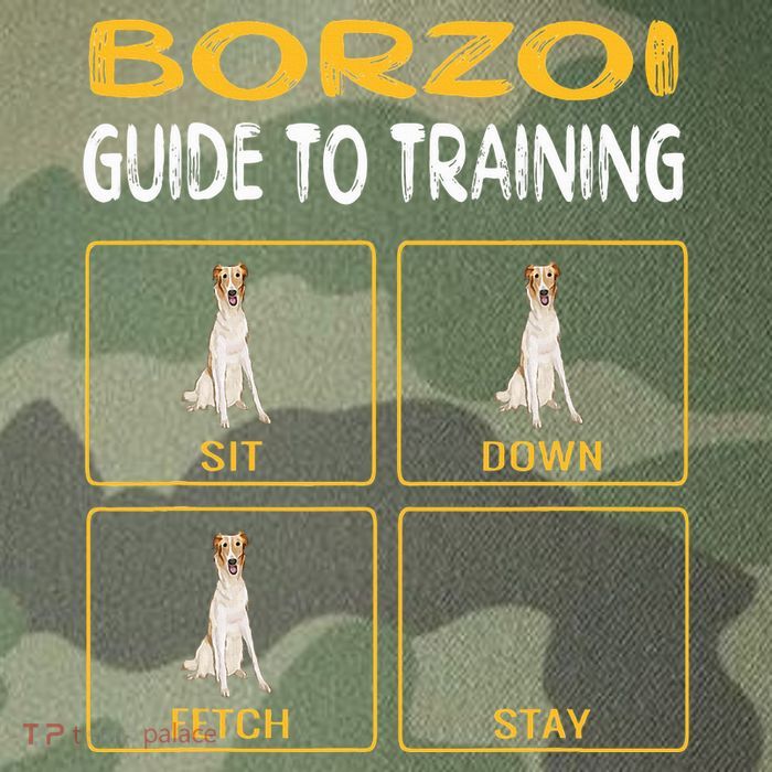 Funny Borzoi Guide To Training Dog Obedience Legacy Tie Dye Trucker Hat