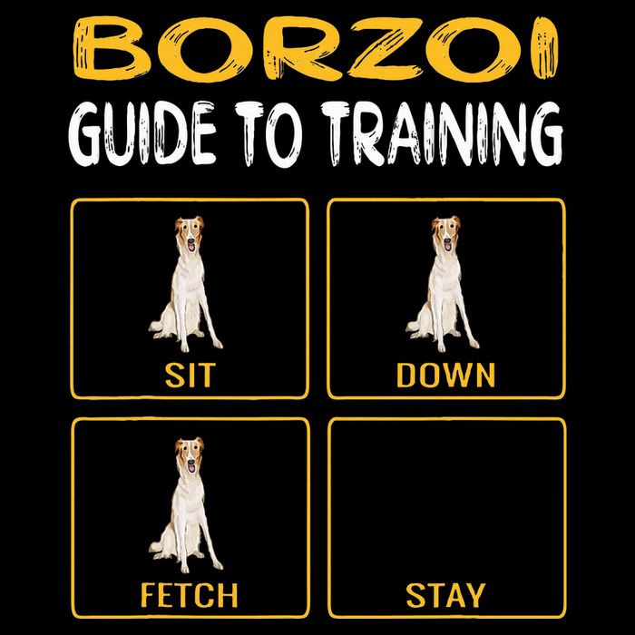 Funny Borzoi Guide To Training Dog Obedience Cooling Performance Crew T-Shirt