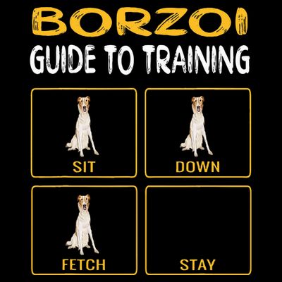 Funny Borzoi Guide To Training Dog Obedience T-Shirt