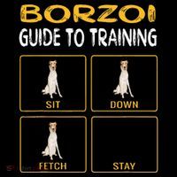 Funny Borzoi Guide To Training Dog Obedience Flatbill Hat