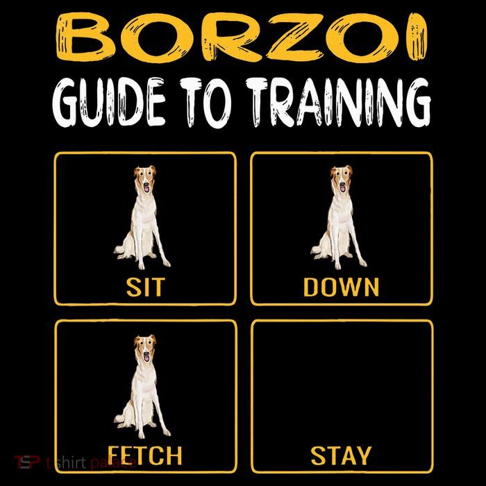 Funny Borzoi Guide To Training Dog Obedience Wool Snapback Cap