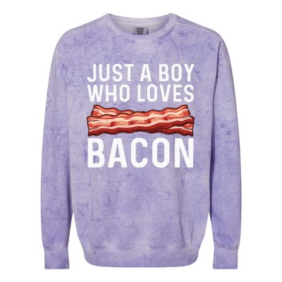 Funny Bacon Gift For Bacon Lovers Meat Foodie Pun Colorblast Crewneck Sweatshirt