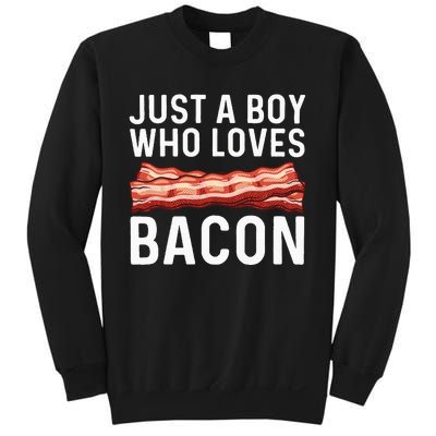 Funny Bacon Gift For Bacon Lovers Meat Foodie Pun Sweatshirt