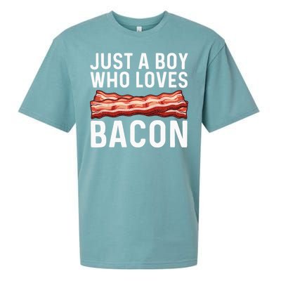 Funny Bacon Gift For Bacon Lovers Meat Foodie Pun Sueded Cloud Jersey T-Shirt