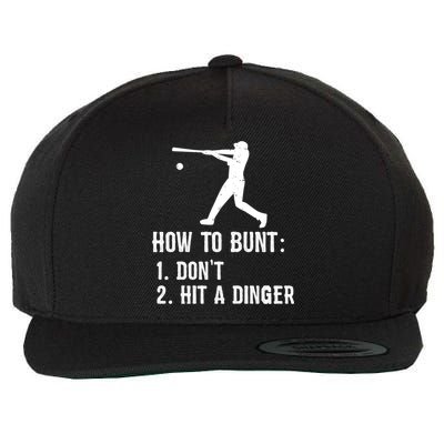 Funny Baseball Hitter Player How To Bunt DonT Hit A Dinger Gift Wool Snapback Cap